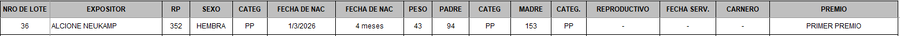 Lote LOTE 36 - BOZAL