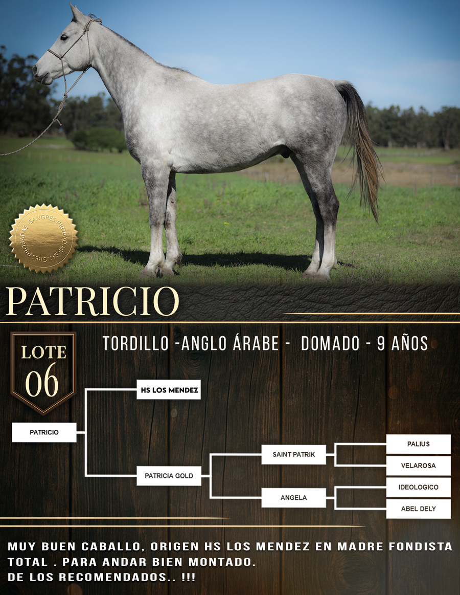 Lote PATRICIO