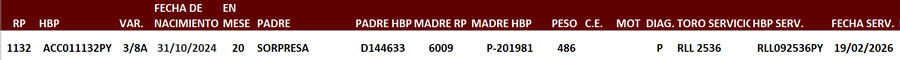 Lote LOTE 1