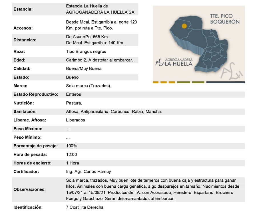 Lote Lote 12