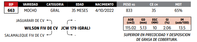 Lote LOTE 6