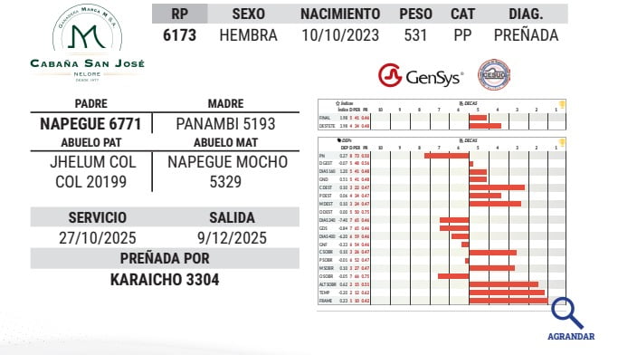 Lote LOTE 1