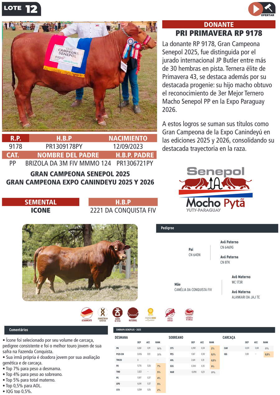 Lote LOTE 12