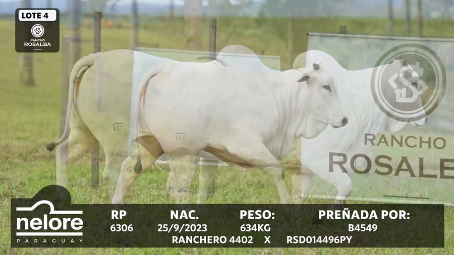 Lote LOTE 4