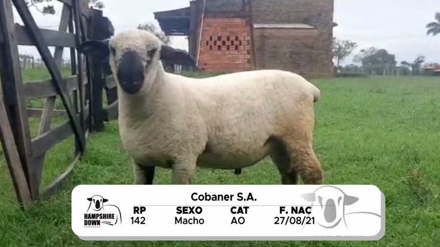 Lote LOTE 11 BOZAL - RP 142