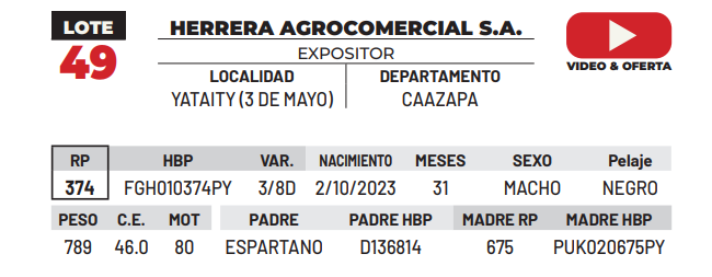 Lote LOTE 49 -DE CAMPO