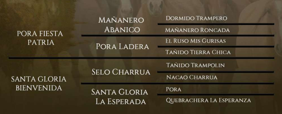 Lote Santa Gloria Fierro Frio