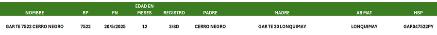 Lote LOTE 6