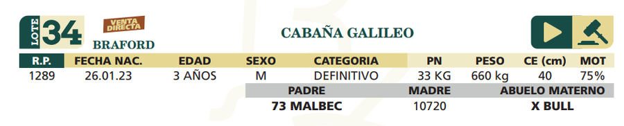 Lote LOTE 34