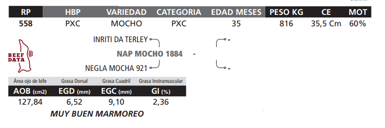 Lote LOTE 22