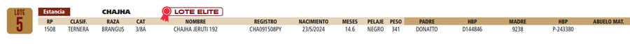 Lote LOTE 5
