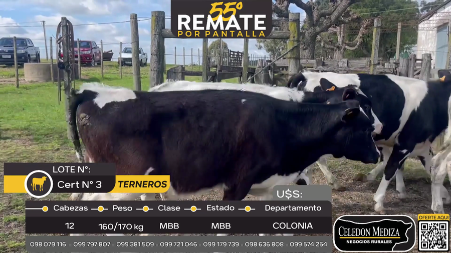 Lote 12 Terneros en ruta 50 a 2 km de ruta 54, Colonia