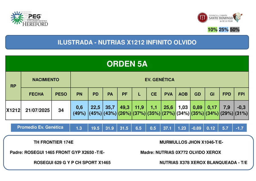 Lote ORDEN  5 TERNERAS PP
