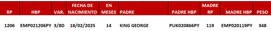 Lote LOTE 23 -DE JUNIOR