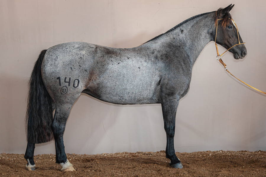 Lote Jerga La Higuera - Cabaña La Higuera