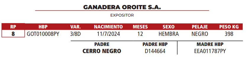 Lote LOTE 28