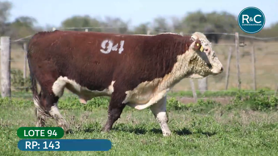 Lote Hereford