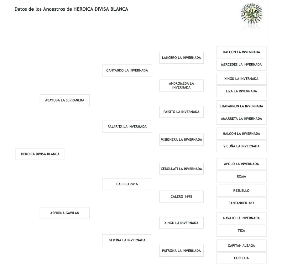 Lote Cabaña "Divisa Blanca" - RP 15 - Heroica Divisa Blanca