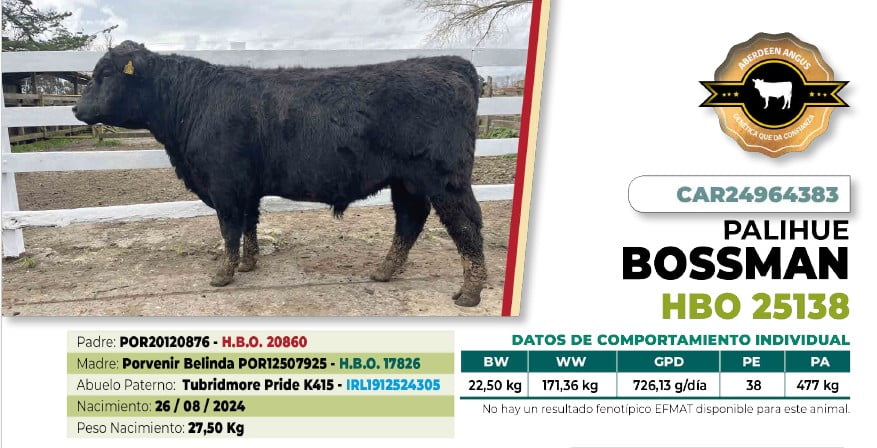 Lote 1 Toro BOSSMAN DIIO 4383