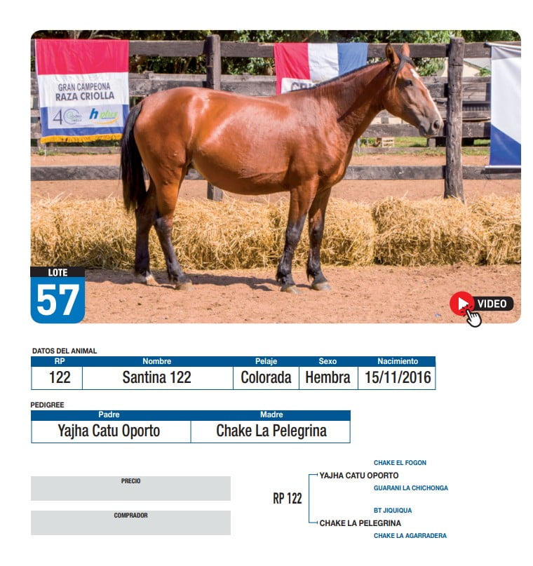 Lote Santina 122