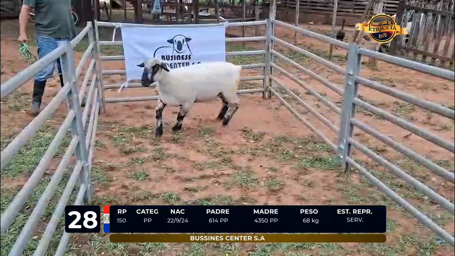 Lote LOTE 28