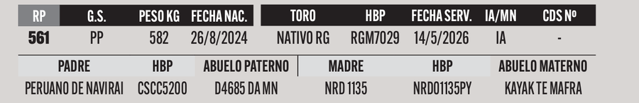 Lote LOTE 19