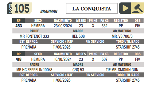 Lote LOTE 105