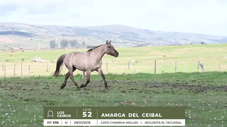 Lote AMARGA DEL CEIBAL