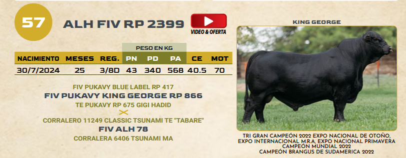 Lote LOTE 57