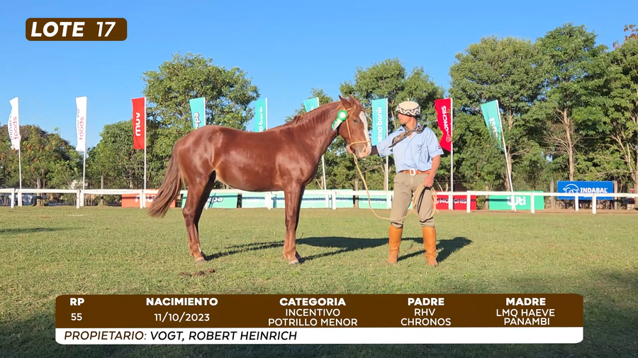 Lote LOTE 17