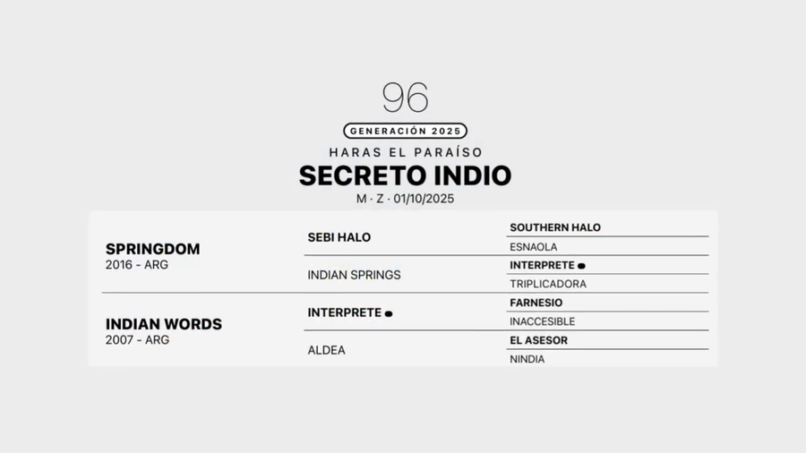 Lote SECRETO INDIO