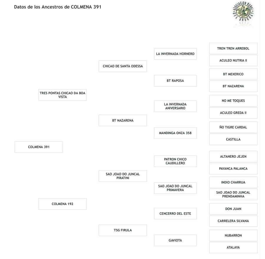 Lote Cabaña "La Colmena" - RP 391 - Colmena 391