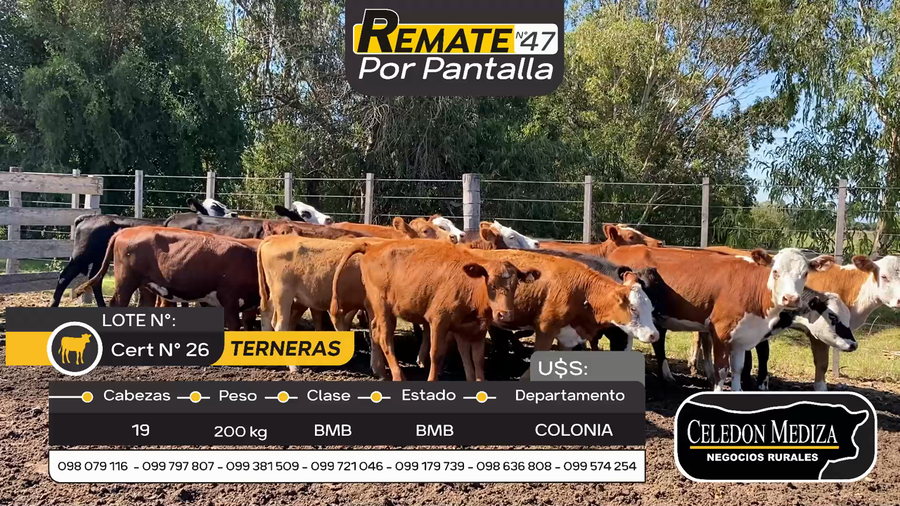 Lote 19 Terneras en Cerro de las Armas , Colonia