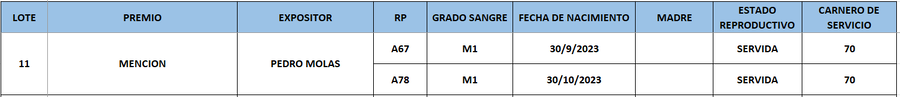 Lote LOTE 11