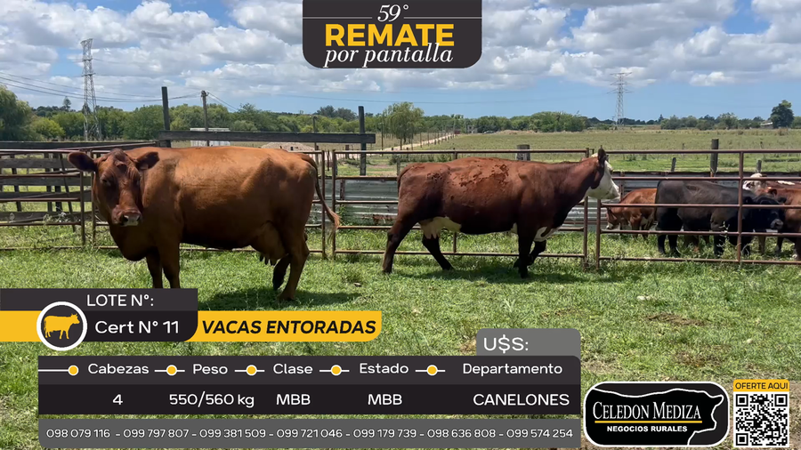Lote 4 Vaca en Canelón Chico, Canelones