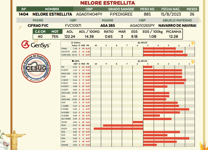 Lote LOTE 2