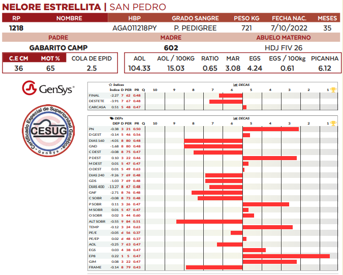 Lote LOTE 66