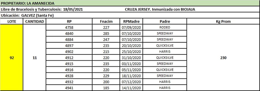 Lote Lote 92 La amanecida