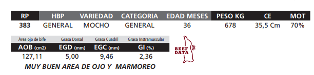 Lote LOTE 68
