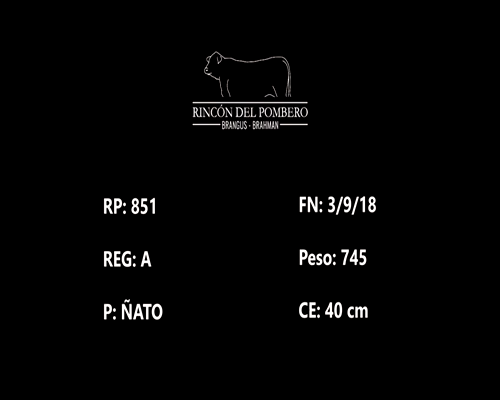 Lote POMBERO 851