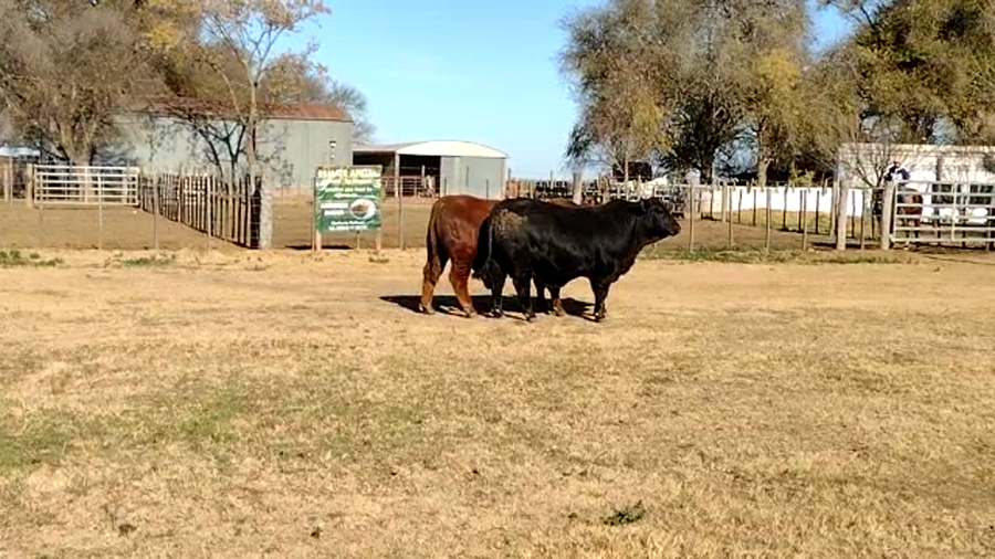 Lote CABAÑA LA MARICEL