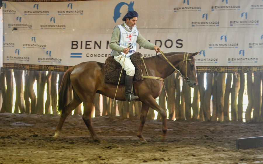 Lote BENDITO PROMESA