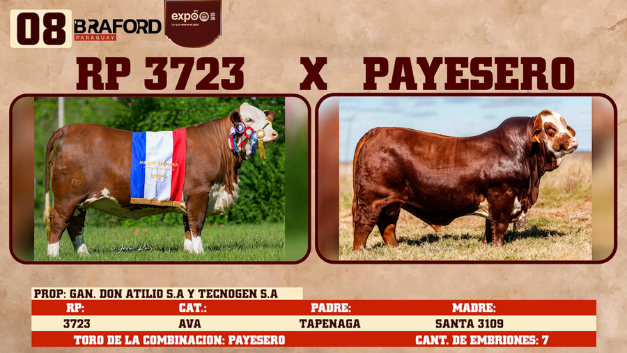 Lote LOTE 8
