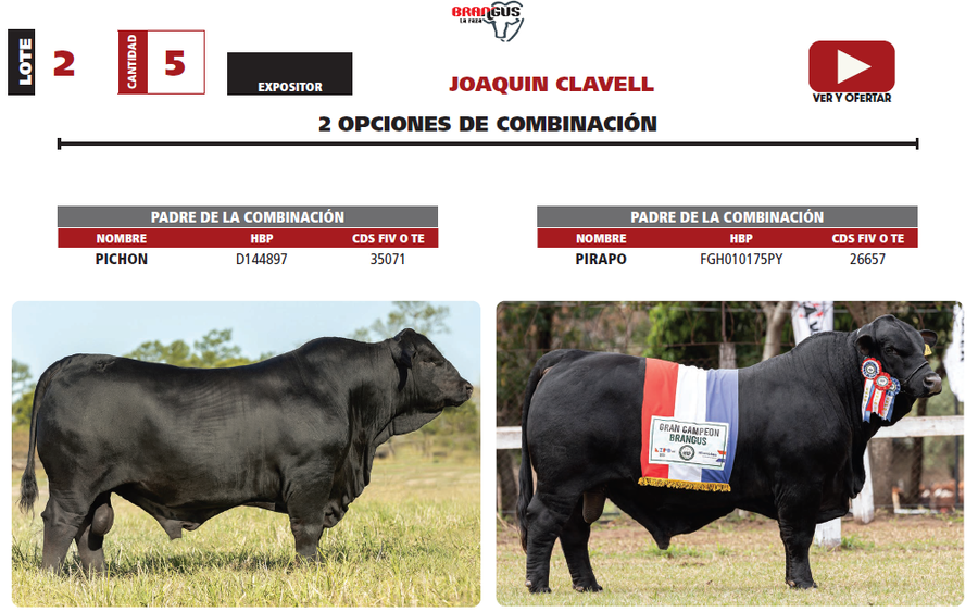 Lote LOTE 2