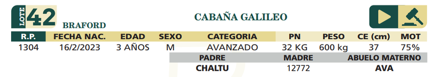 Lote LOTE 42