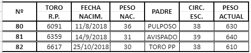 Lote TOROS ANGUS NEGRO PURO CONTROLADO