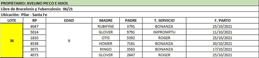 Lote Lote 36 Avelino Picco