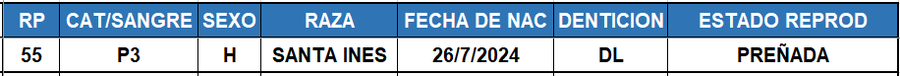 Lote LOTE 41