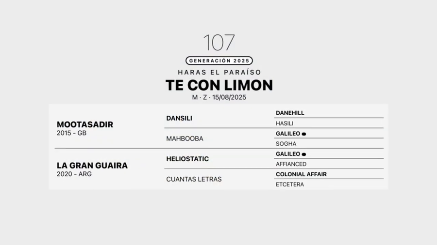 Lote TE CON LIMON