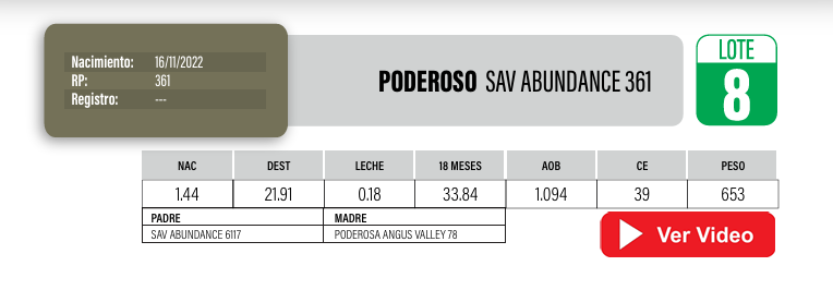 Lote Toros PI / PO / PC Angus a remate en Cabaña La Poderosa, Florida